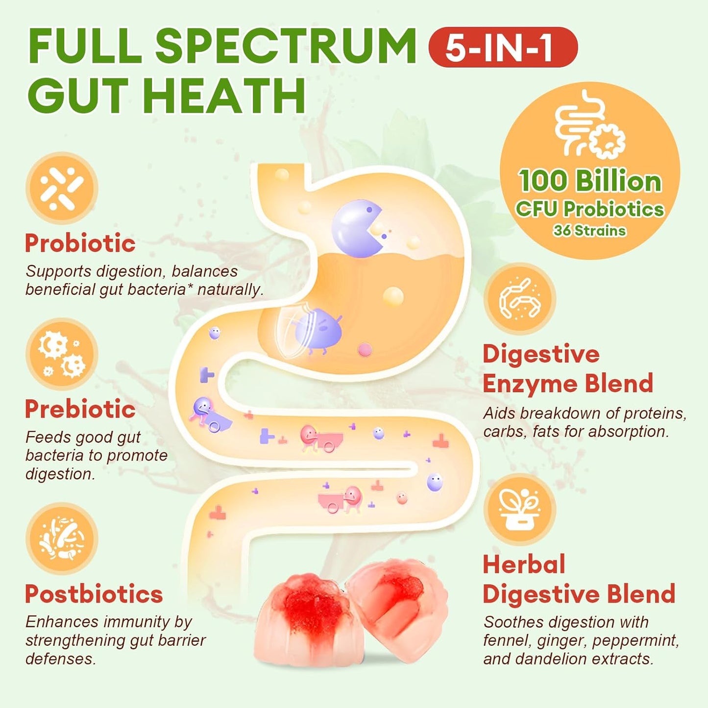 5-IN-1 probiotikai prebiotikai postbiotikai guminukai be cukraus