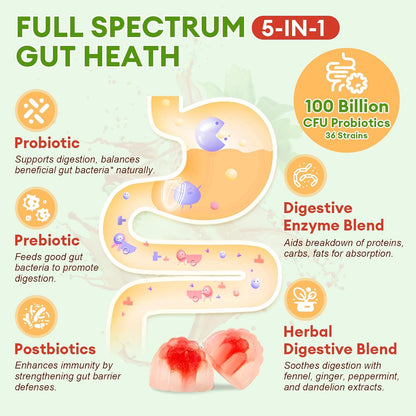 5-IN-1 probiotikai prebiotikai postbiotikai guminukai be cukraus