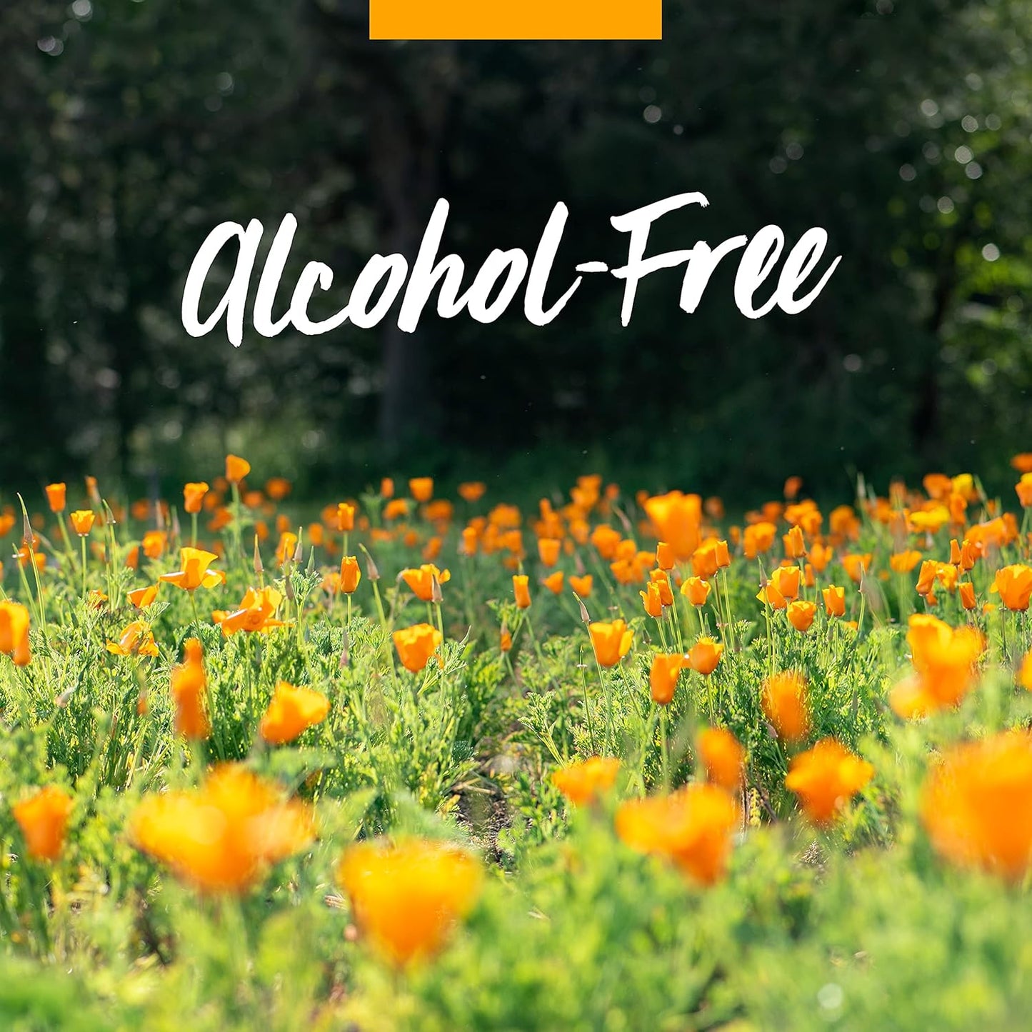 „Herb Pharm Kids“ sertifikuota ekologiška, be alkoholio, imunitetą stiprinanti skysta žolelių formulė
