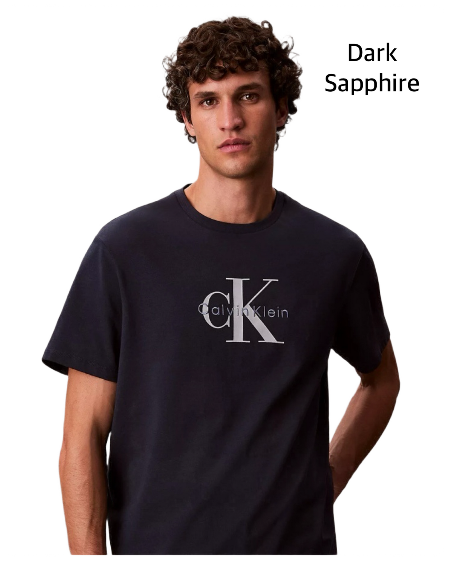 Calvin Klein Logo men's t-shirt